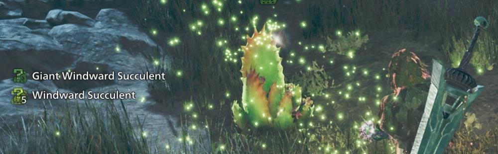 Monster Hunter Wilds Rarity 6 Special Items Guide – Everything You Need for the Explorer of the Eastlands Trophy and Achievement