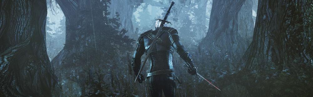 The Witcher 3: Wild Hunt Impressions