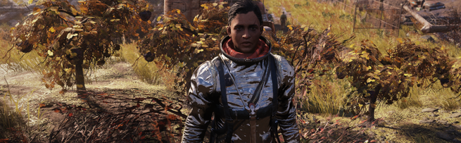 Fallout 76: Wastelanders Review