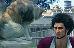 Yakuza: Like a Dragon Cat Locations - where to find all cats for the for the Please Find My Cat quest