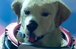 Marvel's Guardians of the Galaxy showcases telepathic space dog Cosmo in new cutscene