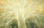 Elden Ring delayed to February 25, 2022; Closed Network Test Announced