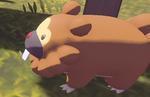 Pokemon Legends Arceus: Bothersome Bidoof Locations