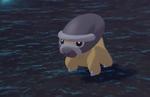 Pokemon Legends Arceus Fossil Pokemon: Where to catch Cranidos & Shieldon