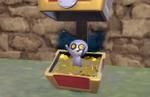 Pokemon Scarlet and Violet introduces Gimmighoul