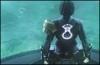 Media Update: Phantasy Star Online 2