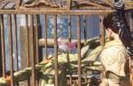Wild Hearts: How to gather Pet Kemono Tail Feathers
