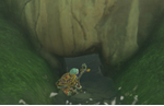 Zelda Tears of the Kingdom: How to find and wake the Kakariko Innkeeper