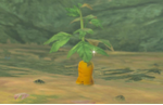 Zelda Tears of the Kingdom: Where to find Endura Carrots for Horse God Malanya
