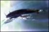 Mass Effect 3: Extended Cut Now Available