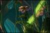 First Guild Wars 2 Screens
