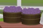 South Park: The Fractured But Whole Memberberry Locations guide