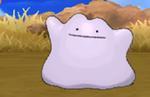 Pokemon Ultra Sun & Moon Guide: Locations for Pichu, Ditto, Rockruff, Noibat, Inkay and other useful Pokemon