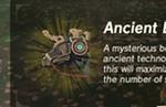 Zelda: Breath of the Wild EX Ancient Horse Rumors Quest - how to get the ancient horse gear