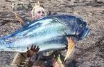 Monster Hunter World Platinum Fish Location: How to catch a Platinum Fish for the Piscine Researcher's Elder Recess quest