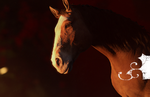 Tetracast - Episode 99: Don't Look a Talking Horse in the Mouth