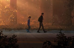 Life is Strange 2 to get a retailer Standard and Collector's Edition