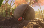 Obsidian Entertainment announces coop survival adventure Grounded for Xbox Game Preview and Steam Early Access
