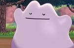 Pokemon Sword and Shield: where to find a Ditto