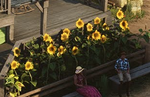 Adaptive Cyberpunk RPG Gamedec introduces farming virtual world Harvest Time in new developer diary
