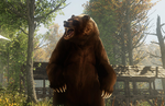 Amazon Games Studios' MMORPG 'New World'- Developer Diaries