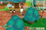 Story of Seasons: Friends of Mineral Town Review