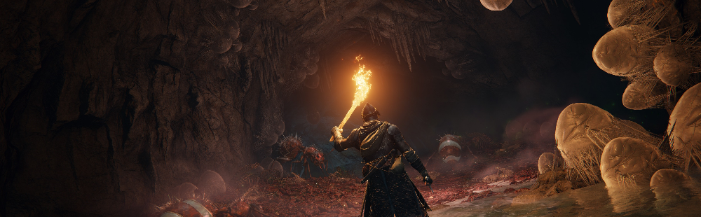 Elden Ring: Erudition Gesture location & how to solve the Converted Tower puzzles