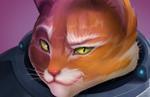 Space Cat Tactics launches on July 24 for PC