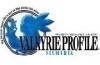 Valkyrie Profile: Silmeria Preview