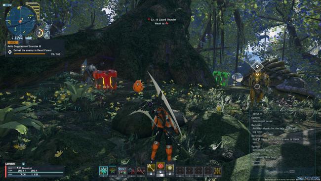 resol_forest_box4screen.jpg