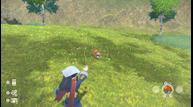 Pokemon-Legends-Arceus_20210818_51.jpg