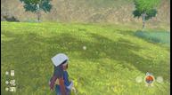 Pokemon-Legends-Arceus_20210818_53.jpg