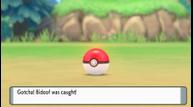 Pokemon-Brilliant-Diamond-Shining-Pearl_20210818_01.jpg