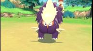 Pokemon-Brilliant-Diamond-Shining-Pearl_20210818_06.jpg