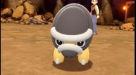 Pokemon-Brilliant-Diamond-Shining-Pearl_20210818_07.jpg