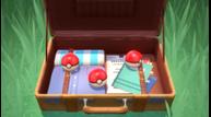 Pokemon-Brilliant-Diamond-Shining-Pearl_20210818_10.jpg