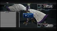 ff13-2_1711_25.jpg