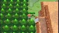 Pokemon-Brilliant-Diamond-Shining-Pearl_20210928_20.jpg