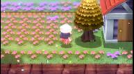 Pokemon-Brilliant-Diamond-Shining-Pearl_20210928_27.jpg