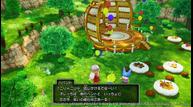 Dragon-Quest-X-Offline_211125_Pukuland07.jpg