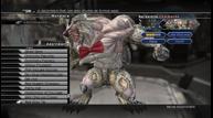 ff13-2_1711_30.jpg