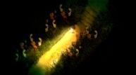 Yomawari-3_20211224_01.jpg