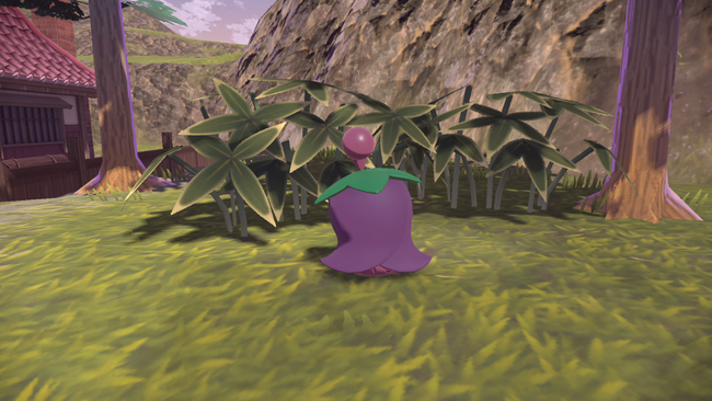 pokemon-legends-arceus-cherrim-location-bloom.png