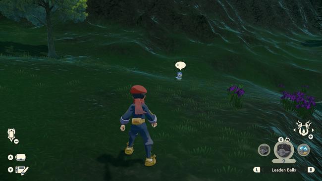 Piplup, as seen in its natural habitat.