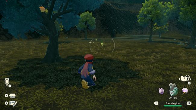 A crop of Petilil in their natural habitat in the Crimson Mirelands.