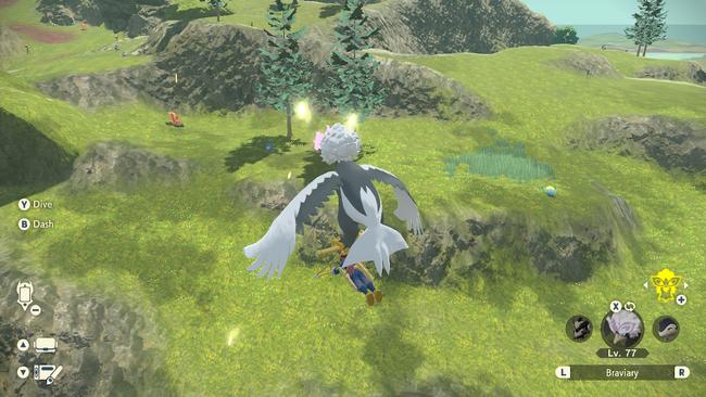 The elusive Munchlax, in it's natural habitat.