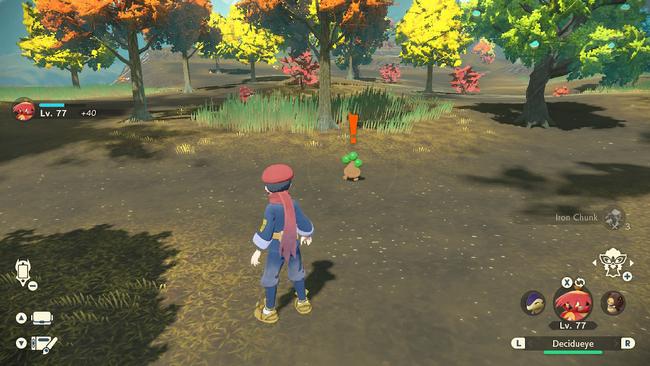 A Bonsly in its natural habitat.