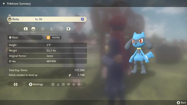 A Riolu
