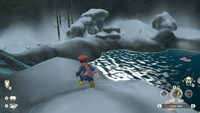 A Riolu, soaking it up in the Snowfall Hot Springs
