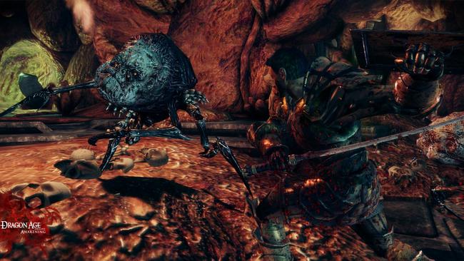 dragonage_awakening_34.jpg